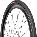 Specialized All Condition Armadillo Elite Reflect Tire Black 700 x 28